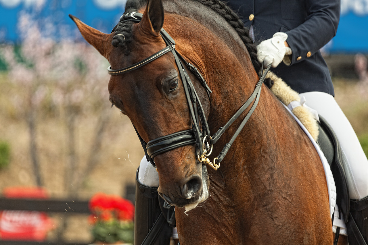 Lustra Creative Eventos Deportivos